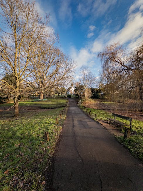 A paved pathway leading uphill through a park or garden area with bare deciduous trees on both sides, indicating late autumn or winter. To the right of the path, there is a wooden bench and a low wooden fence along the edge of the grassy area. In the distance, at the top of the slope, a white residential building with a pitched roof is partially visible behind some trees and shrubbery. The sky above is mostly clear with a few white clouds and patches of blue. The scene is well-lit with natural daylight, suggesting a sunny day. This setting provides a quiet, suburban environment suitable for house removals and relocating furniture, with the pathway possibly serving as an access route to properties or parking areas. As part of home relocation logistics, Ealing Removals might use such scenic outdoor spaces to facilitate furniture transport or loading activities.